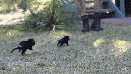 651a079af701631fa9fecf5.gif