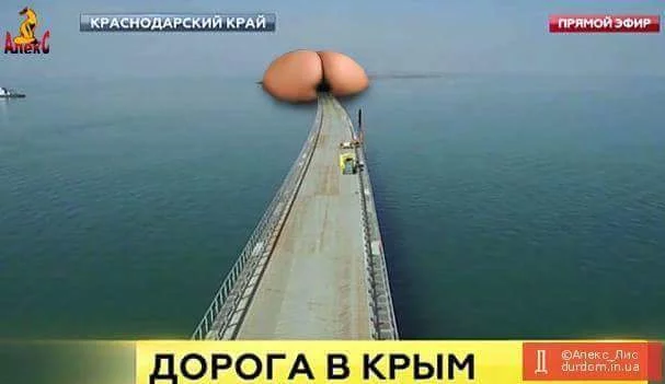 652169.webp