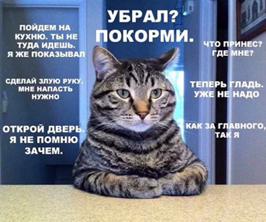 6528025.webp