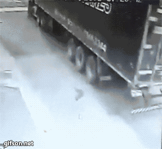652866_original.gif