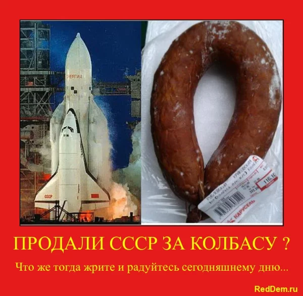 65339_600.webp