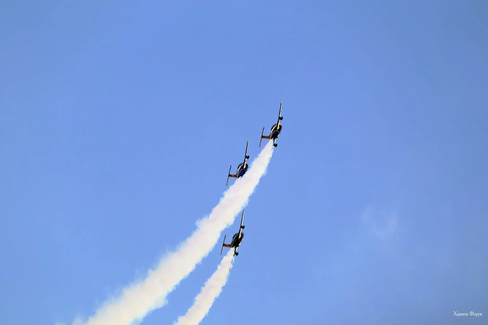 6546c5e6c5c93c5aaf.webp