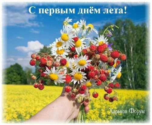 656417c683b7e7443927c4aa.webp