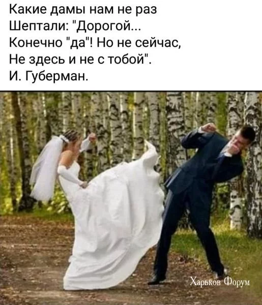 656c2b92c86d4109a5f.webp