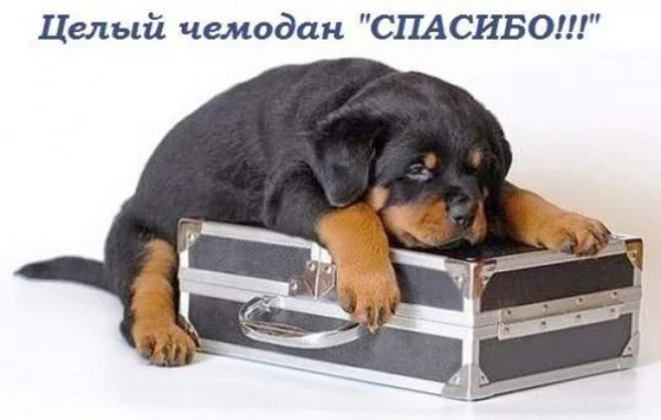 657773_600.webp