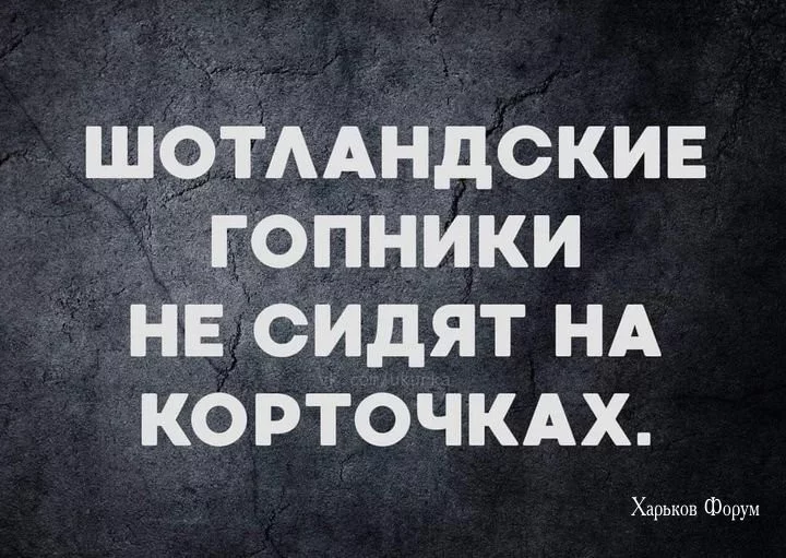 658f2c254535d41431d.webp