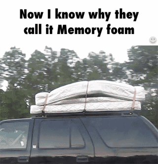 6595848_original.gif