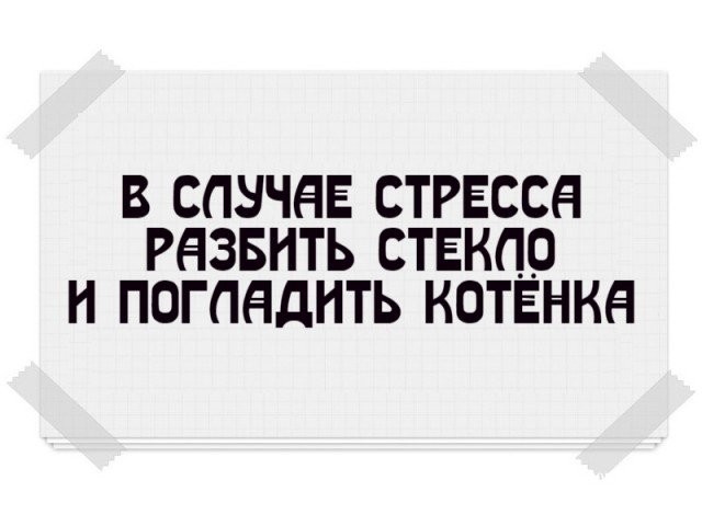 65a0bfc70ba000b8e.jpg