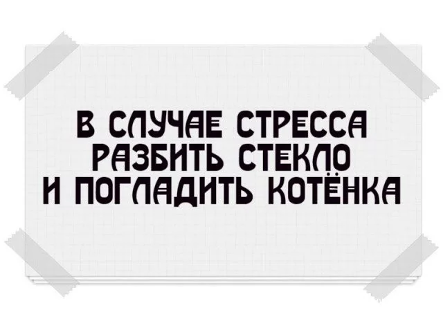 65a0bfc70ba000b8e.webp