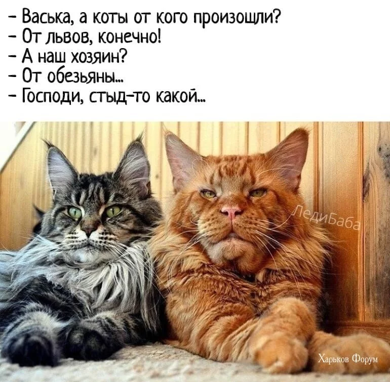 65a595dee5243de9f63.webp