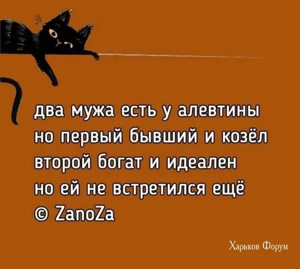 65aae138ad454f7c.webp