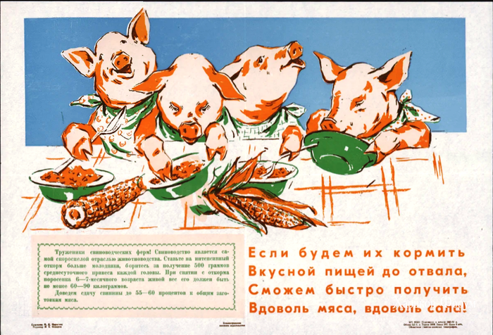 65ab2d0e7ced87090577.png