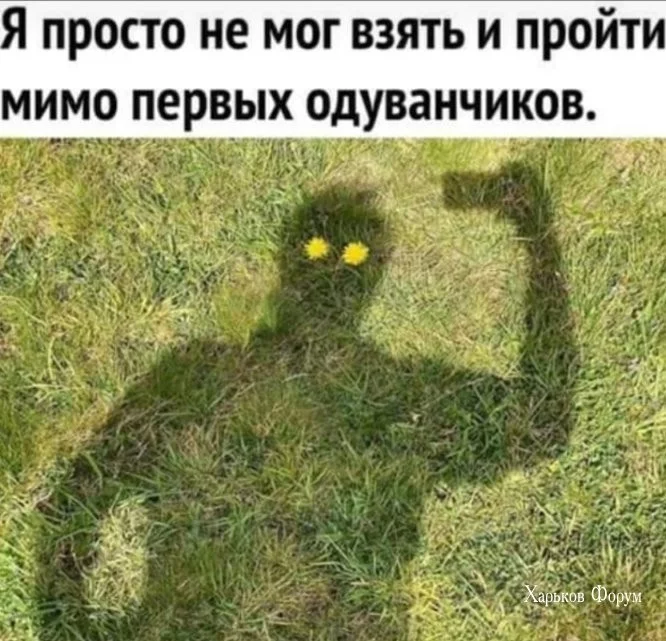 65c2ce364b56a8d7.webp