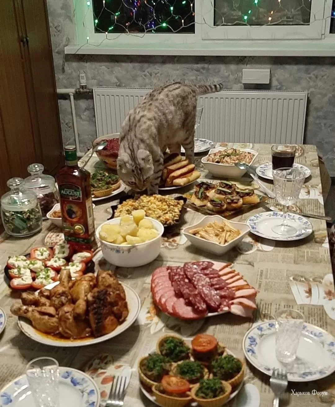 65ca8bc3cba6c98dc3549.webp