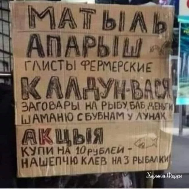 65e650fe2f7c3fb14b9aa74.webp