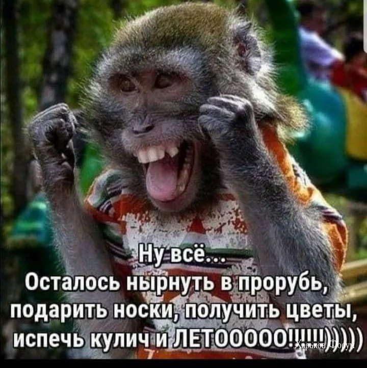 65eb0431f1440ef79.webp