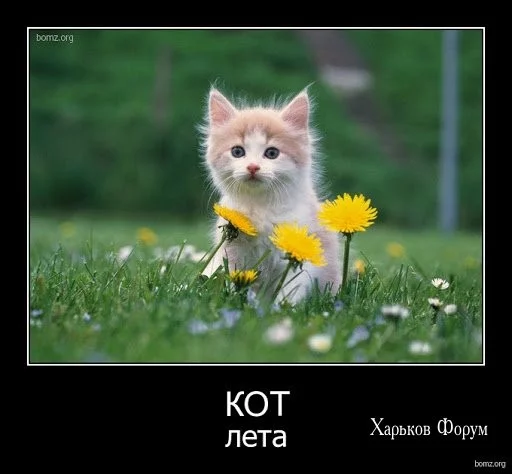 65ece72894aa3acdc1.webp