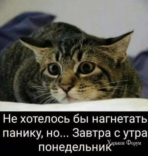 65fa0c5d9914563e399a22e4.webp
