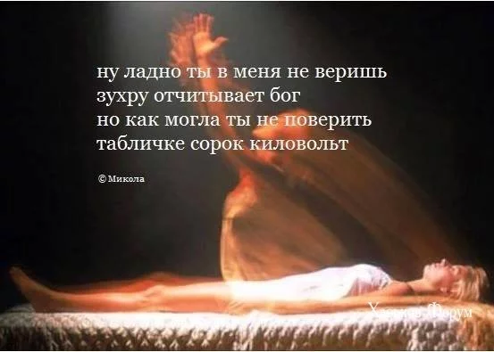 660136c3738979a36fc.webp