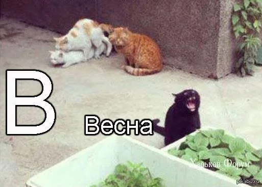 661a4ab6377292ed69fae2f.webp