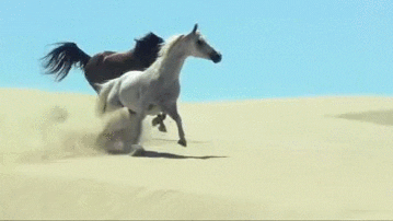6624aa8dae46d49302e3c.gif