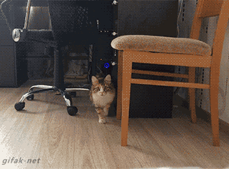 663c002654ef62e5fac75d5.gif