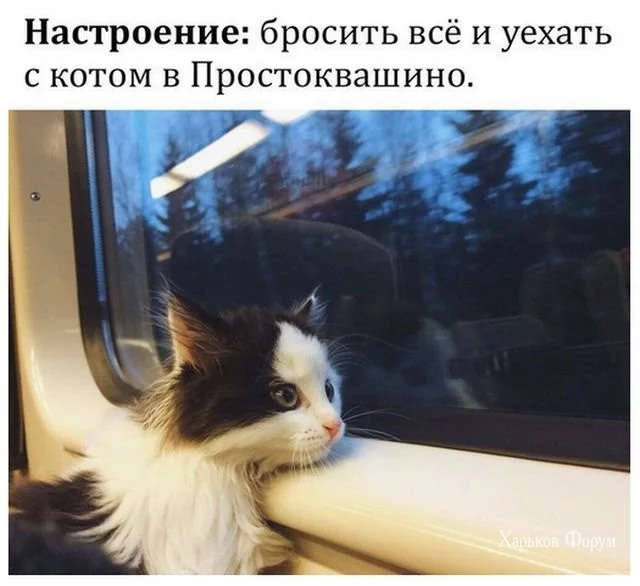 664d65499d90008a.webp