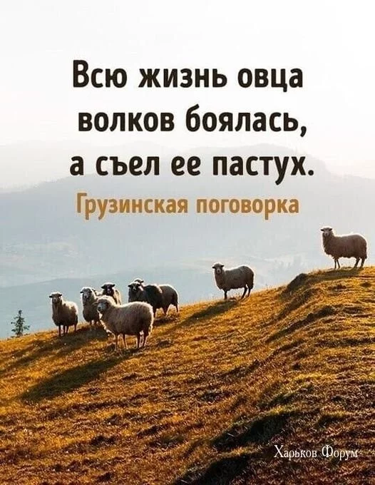 66561f166c11fb52.webp