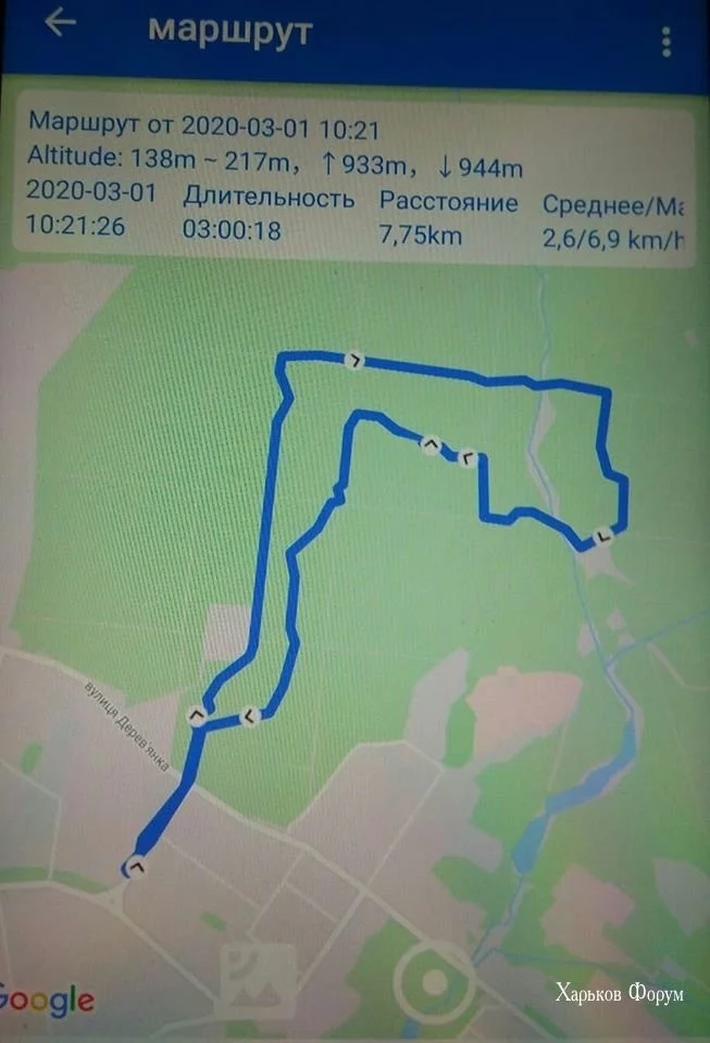 66639ad3bd8f5f96f29718.webp