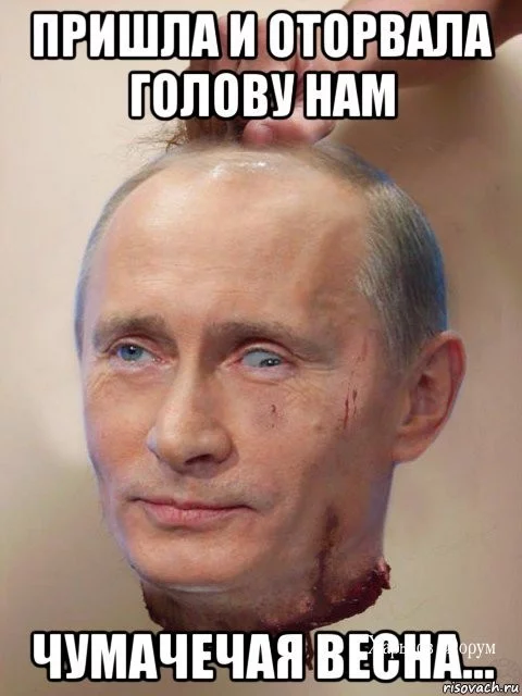 6674ba1699591bf4bae6664.webp