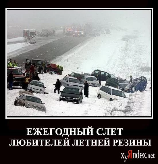 66846550_1264185477_1ldxvejkxumb_198.webp