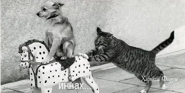 668dca2929e02e5d95496e0.webp