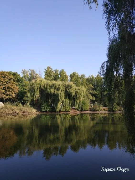 6693bf0c79fffbe61362.webp
