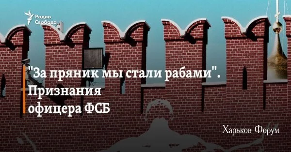 669480d2a656e992.webp