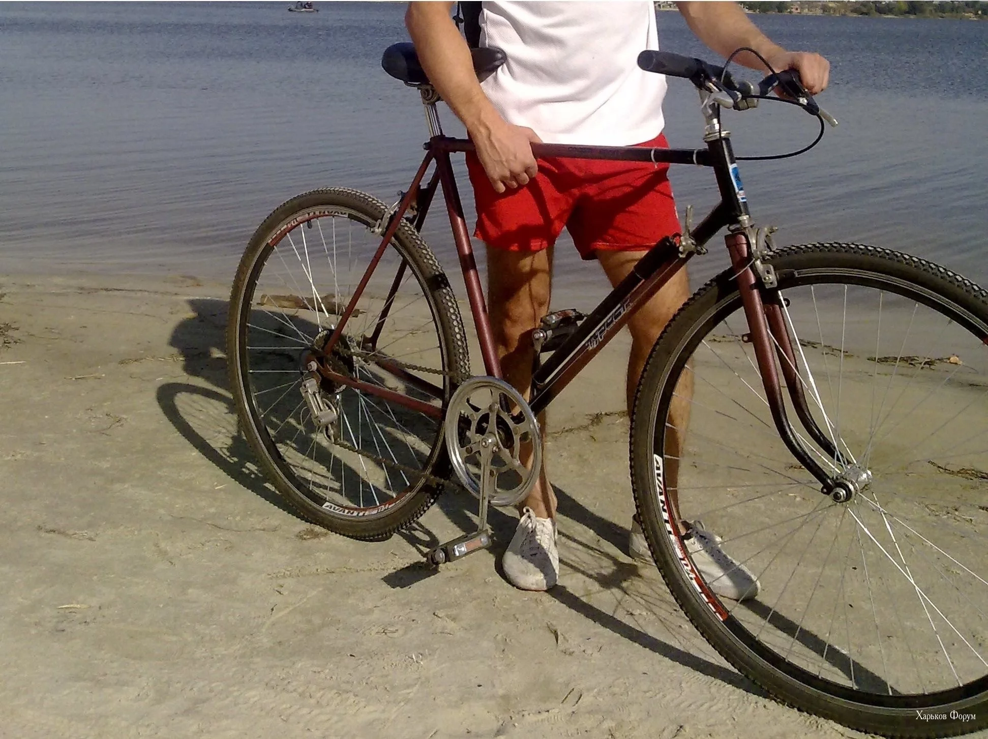 66b62dc207afde45179d.webp