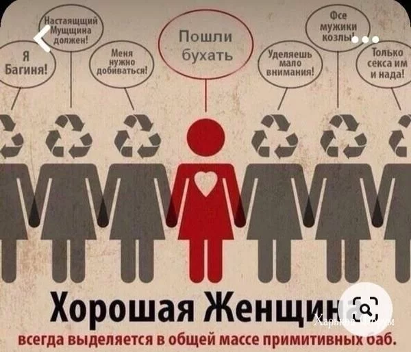 66cf272fc51b5734.webp