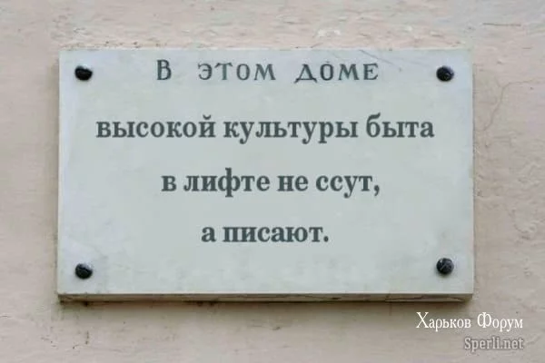 66e15413be0980cae0ead1.webp