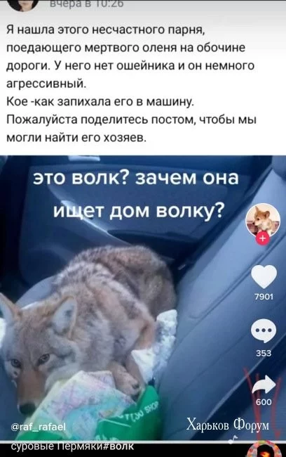 66e87222edd6e009f664734.webp