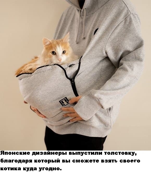 66f05d428756483b4cde41.jpg