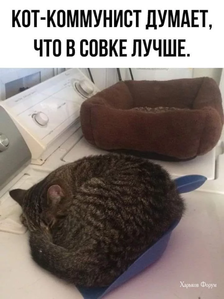 66f3588f72c1505f7cd.webp