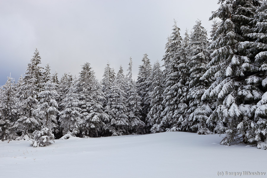 6703020193_0a009091ab_o.jpg