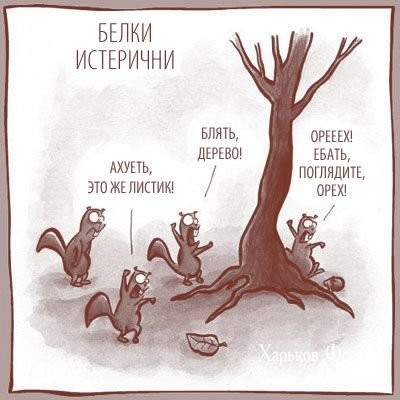 670b3e37bf9330da93e872.jpg