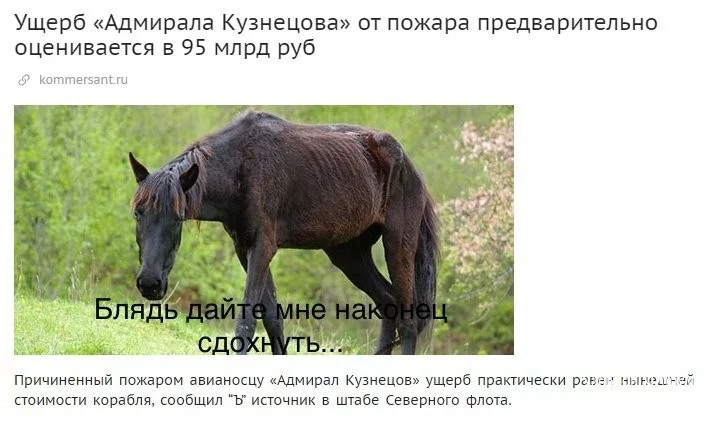 6721c1366c310a38d9.webp
