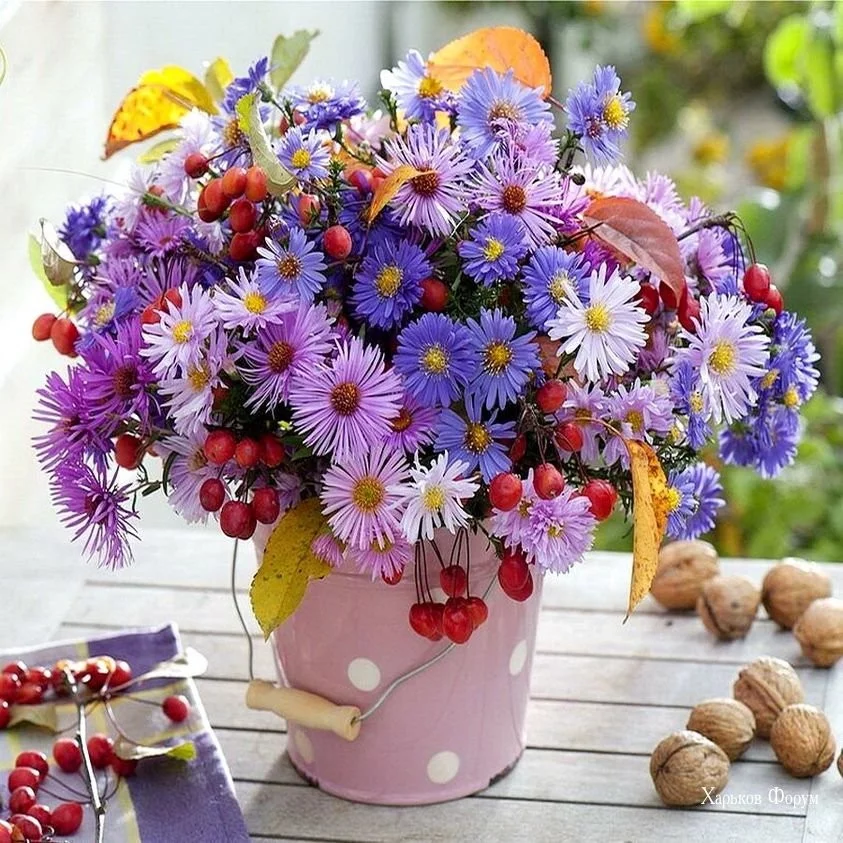 672b7e963f4b4f5abfb53.webp