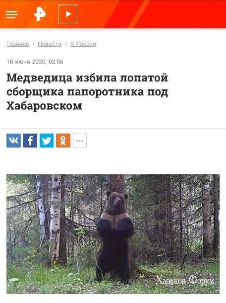 6741df7bd987062d3.webp
