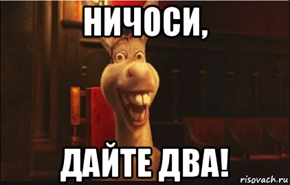 6746335.webp