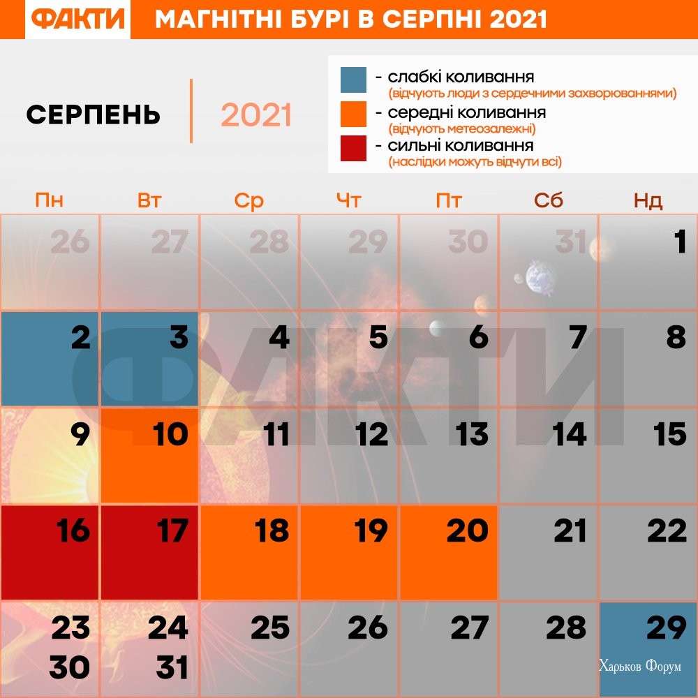 674eead735587918cdf36e.jpg
