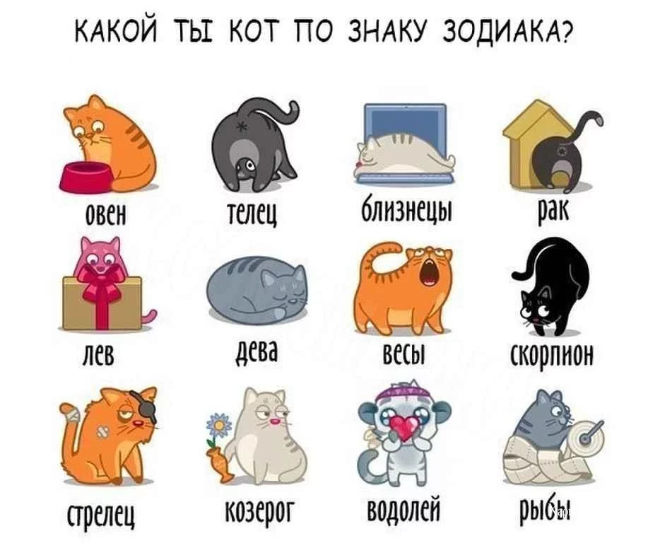 67592428c4593941e5377ce.webp