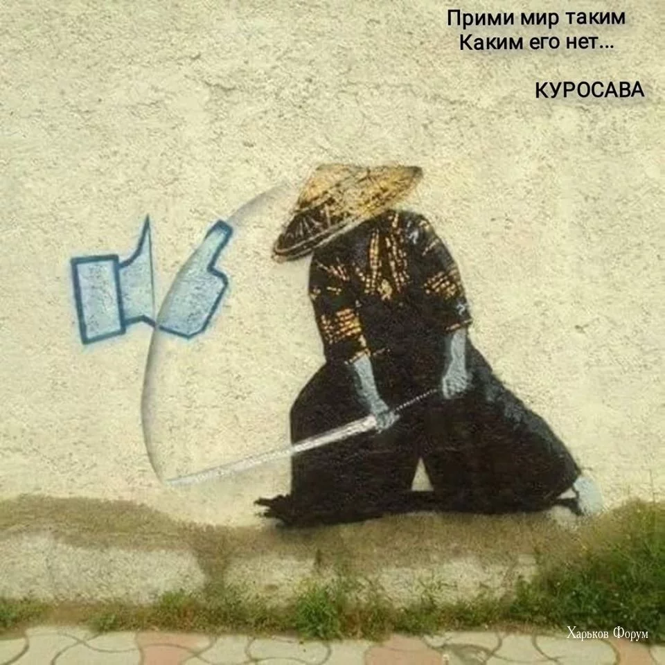 6762d9a85ceeaf5648228e28.webp