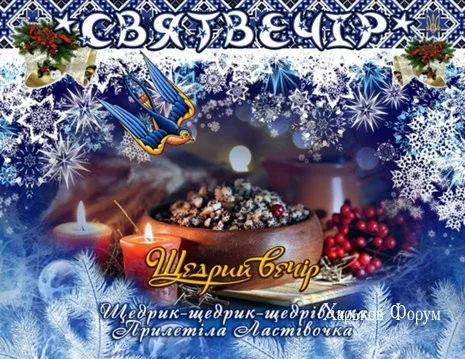 6763dd81cf05e294e5.webp